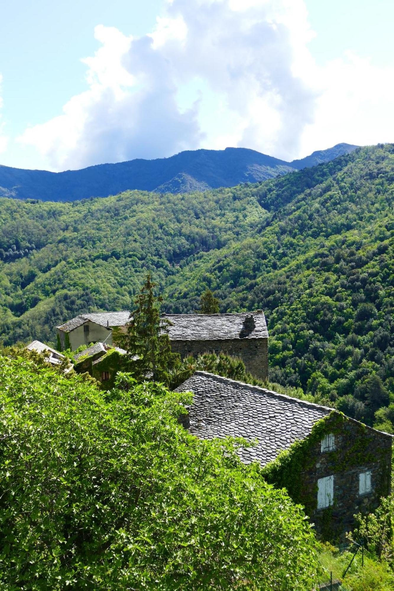Bed and Breakfast Casa Surgente Carcheto Экстерьер фото